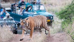 Ranthambhore